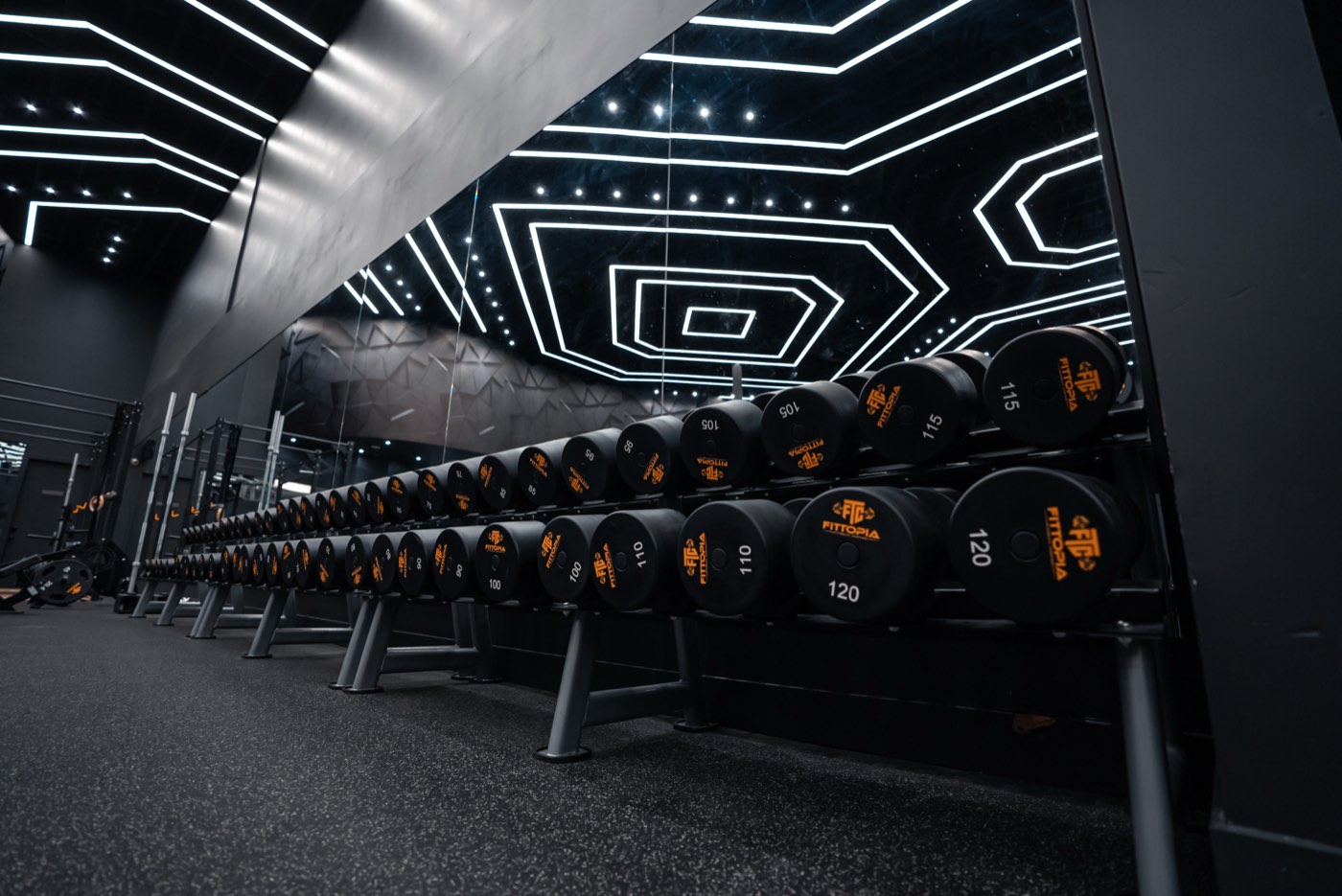 Fittopia Fitness Center gym floor