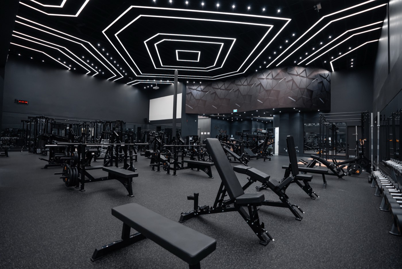 Fittopia Fitness Center gym floor