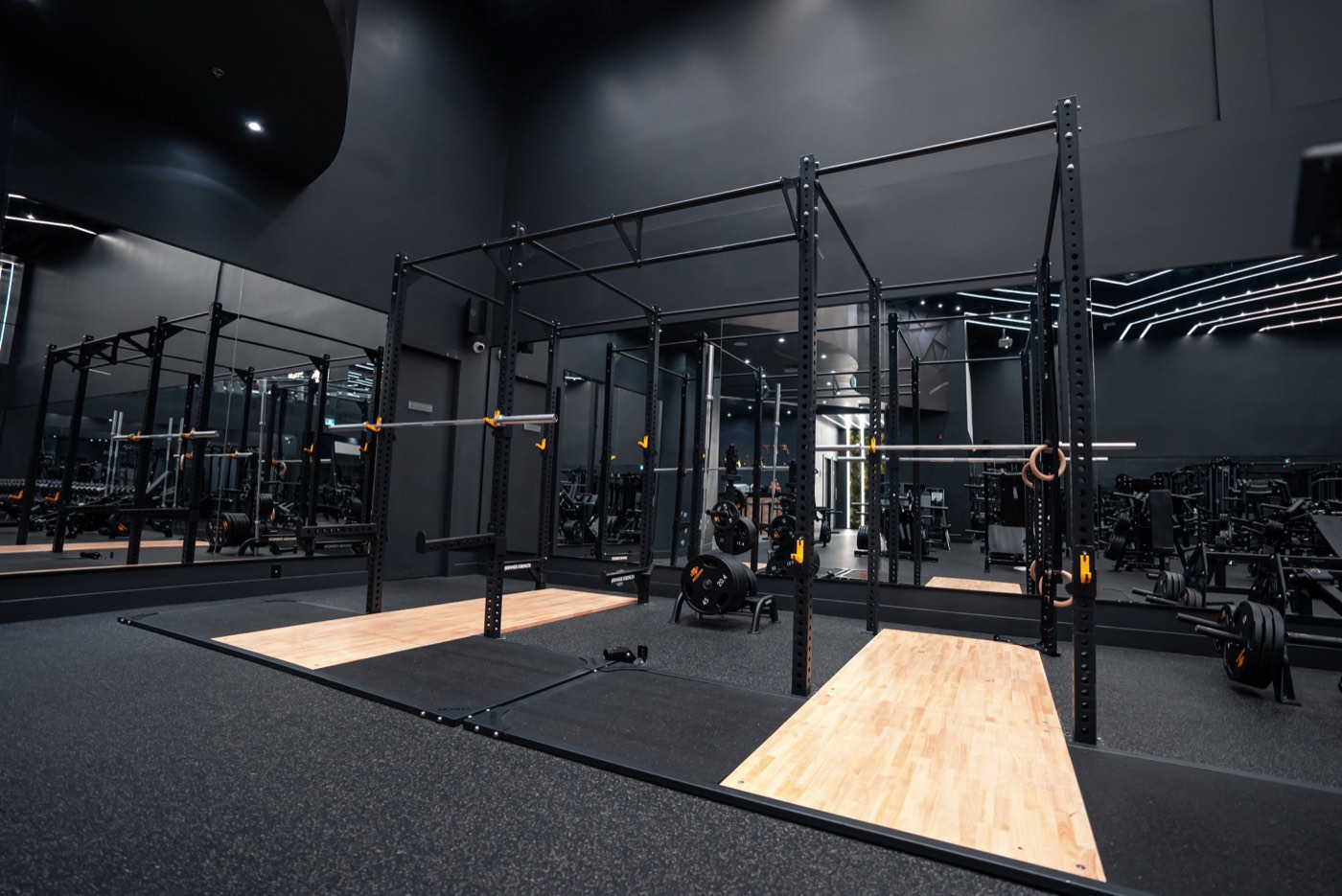 Fittopia Fitness Center equipment