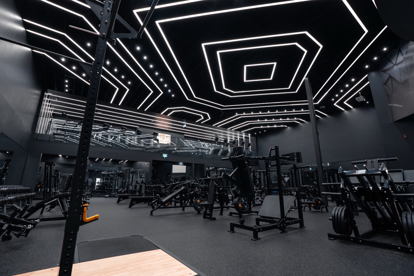Fittopia Fitness Center gym floor