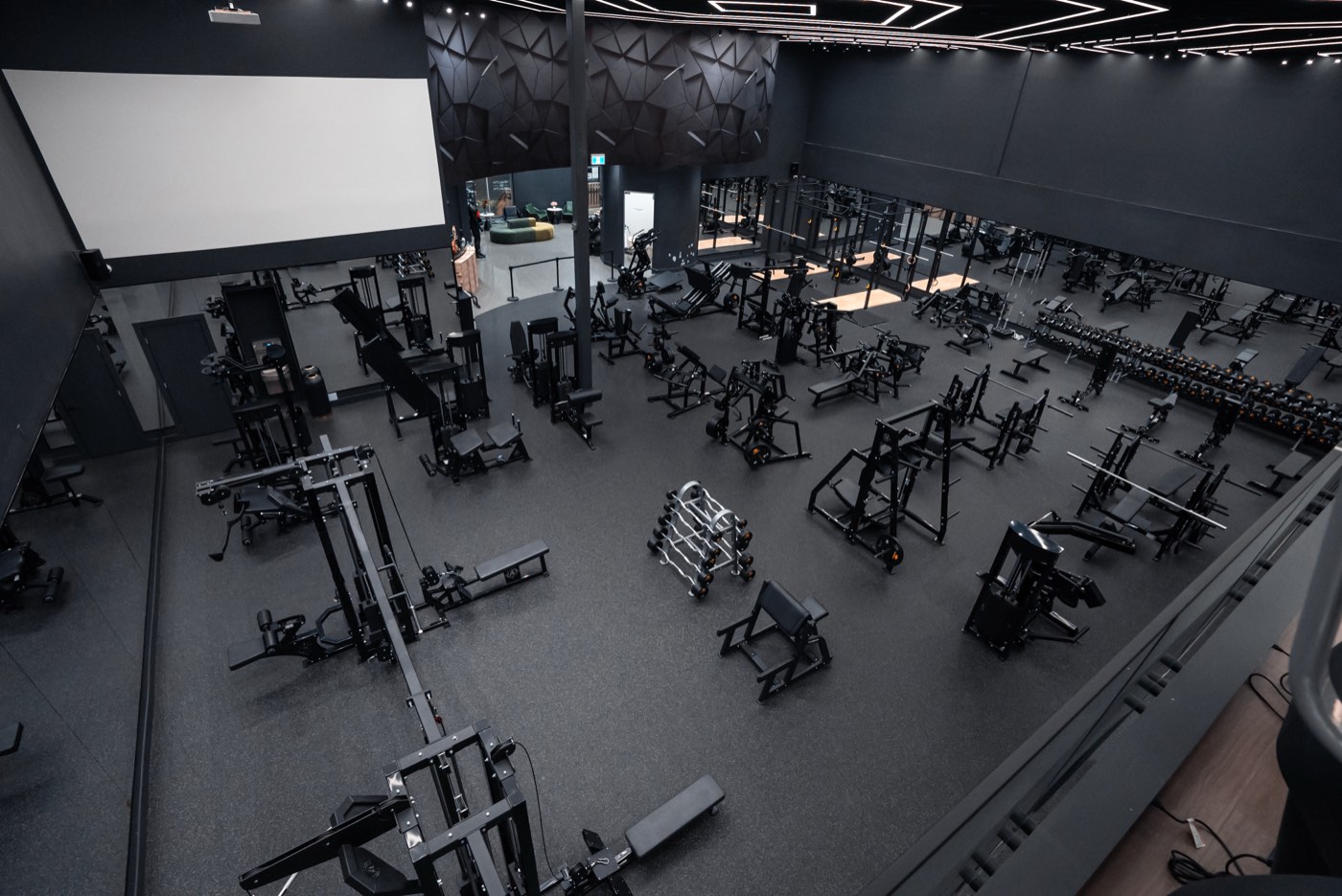 Fittopia Fitness Center gym floor