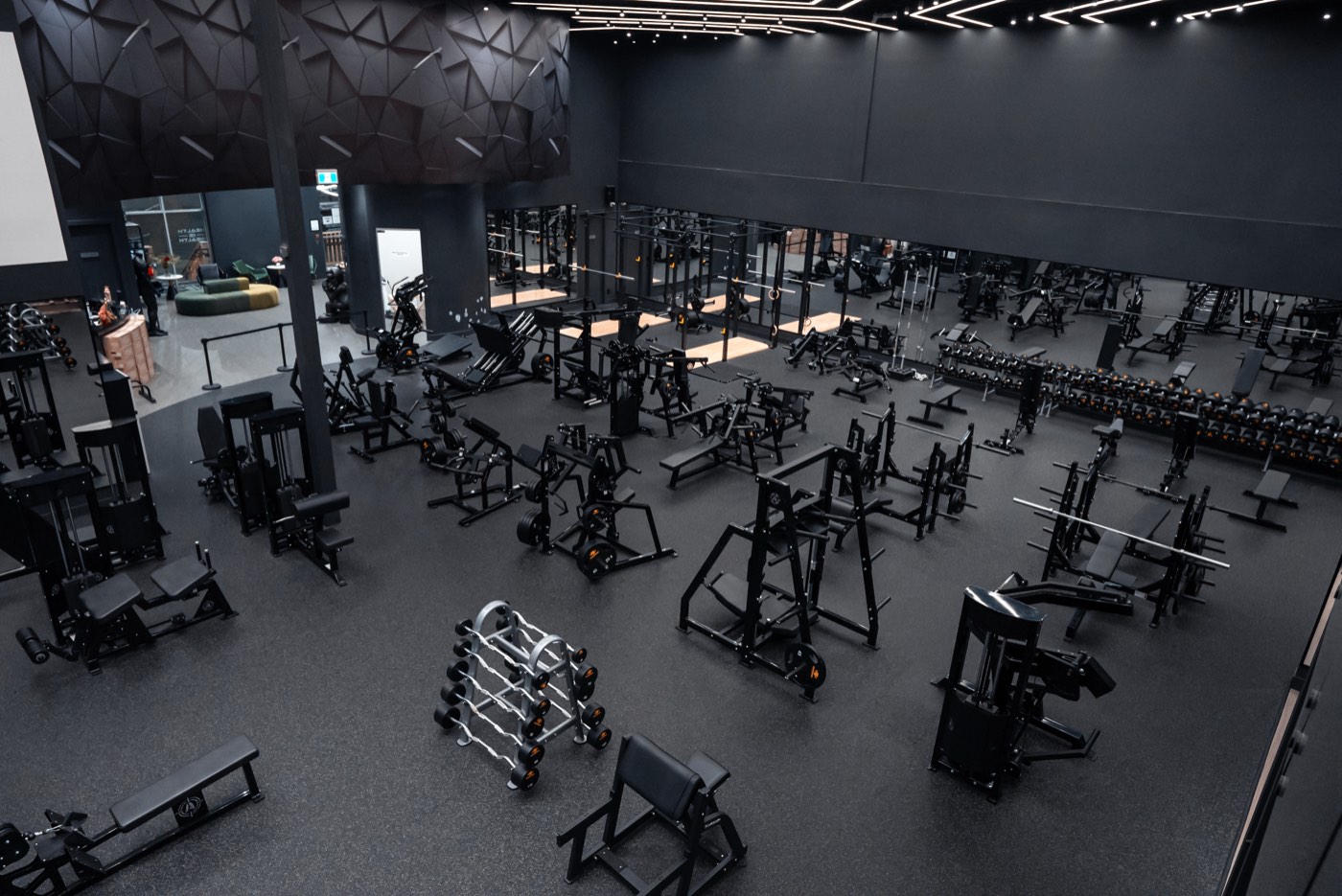 Fittopia Fitness Center gym floor