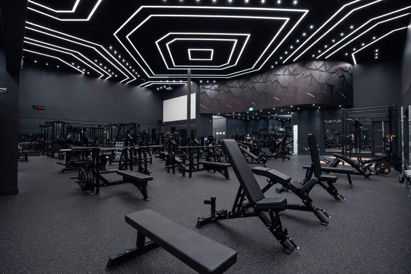 Fittopia Fitness Center gym floor