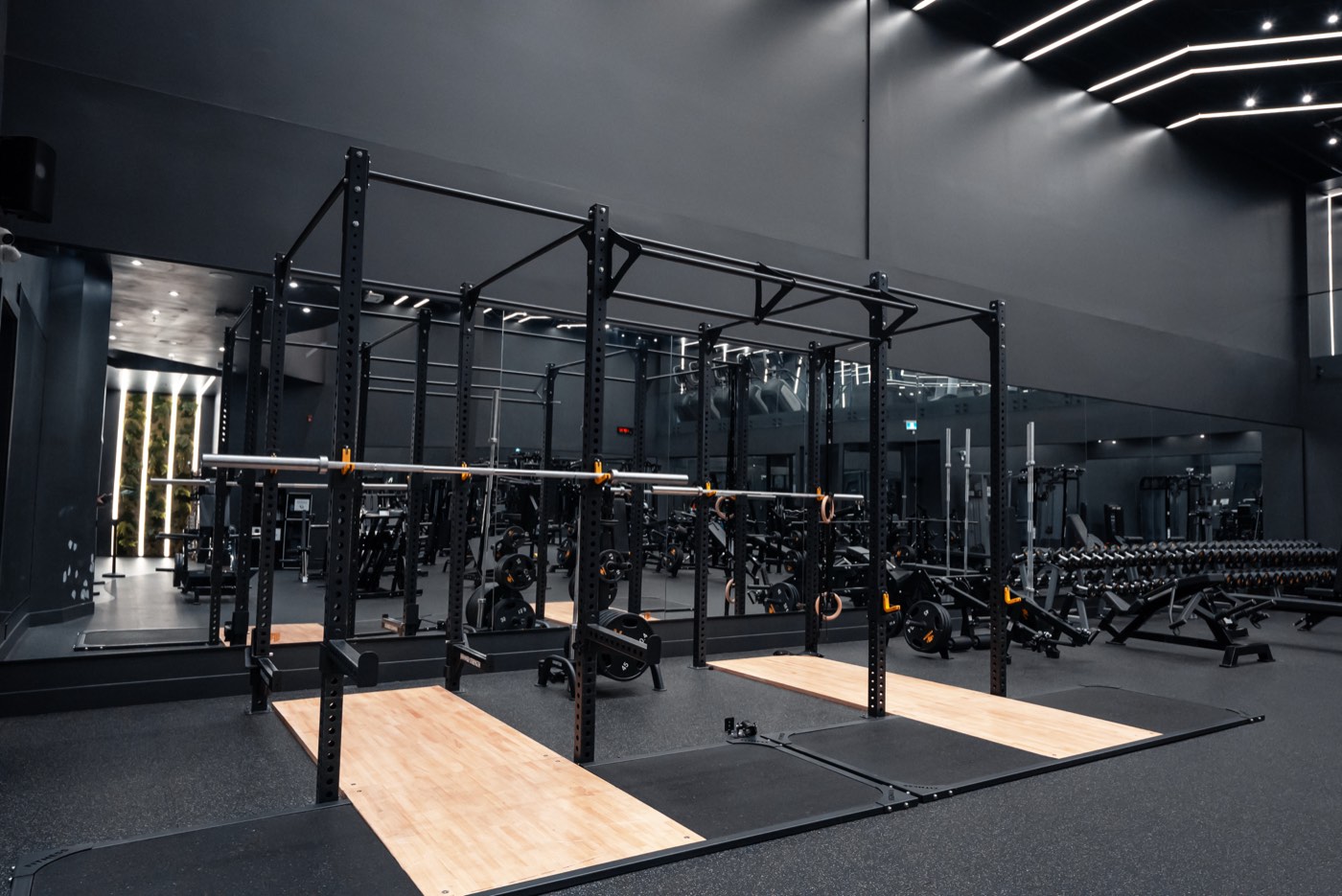 Fittopia Fitness Center gym floor