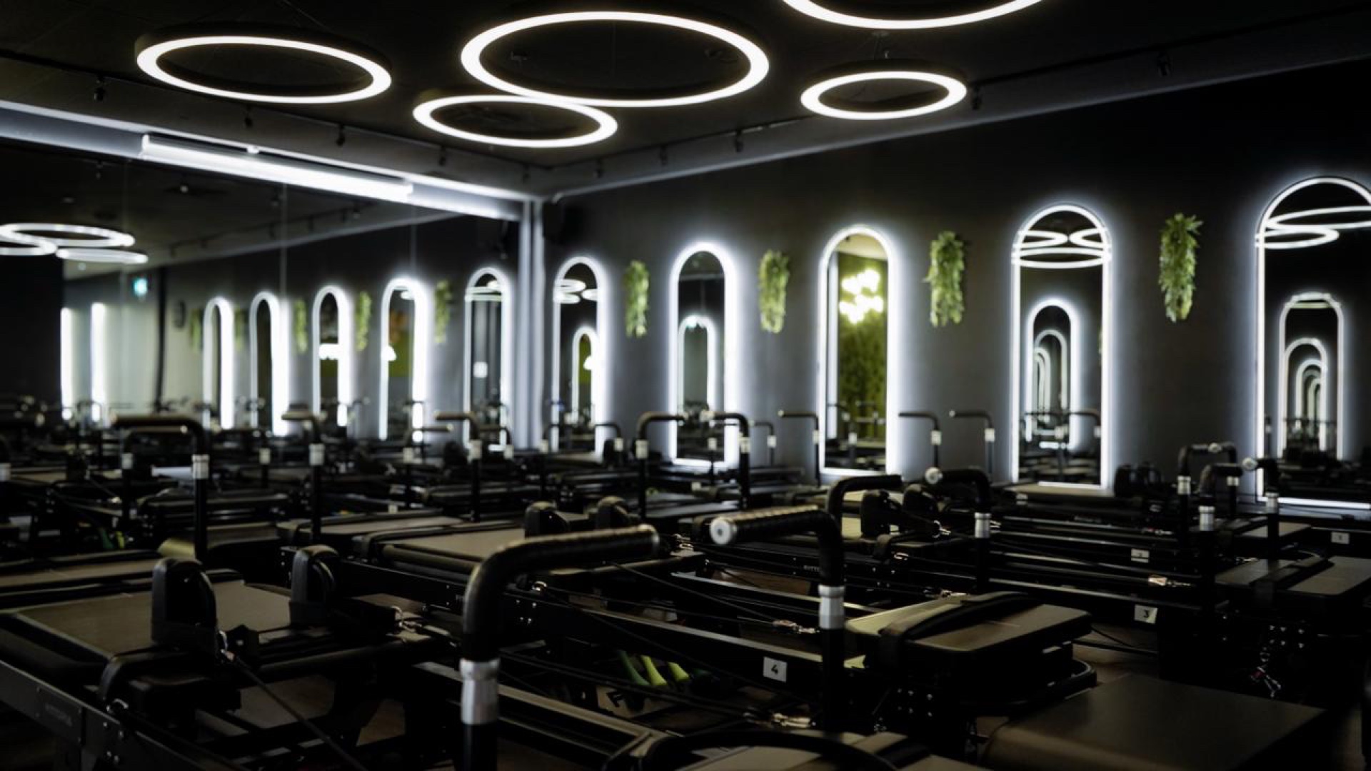 Fittopia Wellness Studio