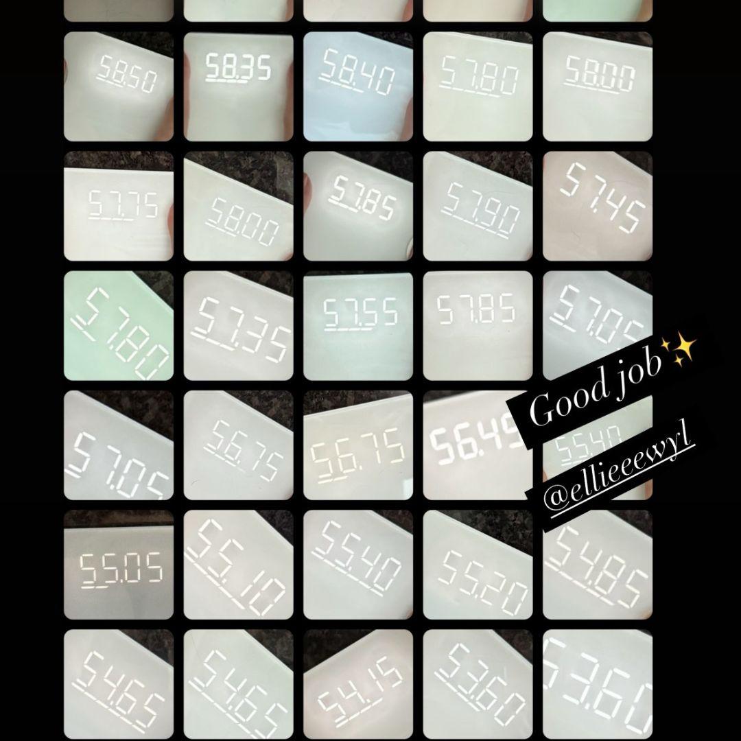 Ellie scale progress